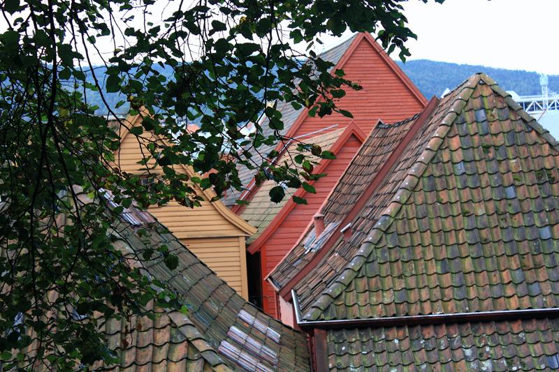 308-Bergen,25 agosto 2011.JPG